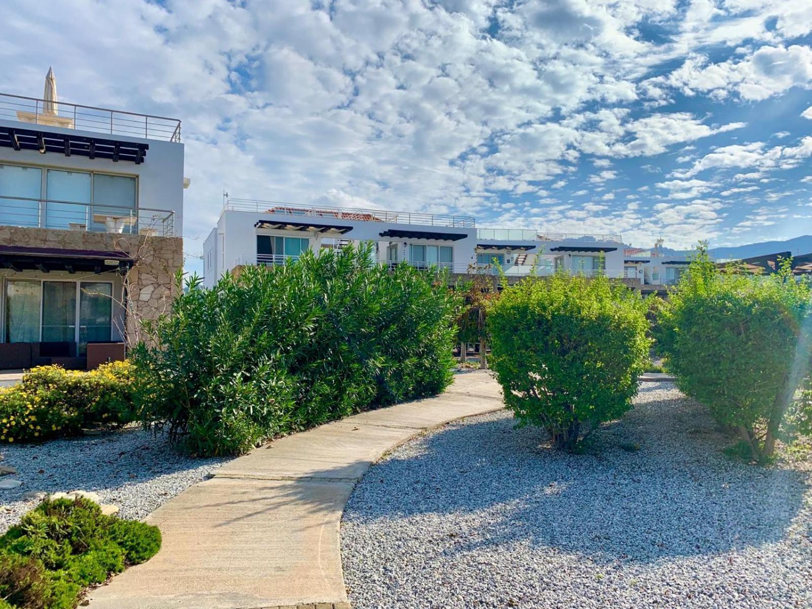 Boho Bay Apartment Akanthou Exteriér fotografie