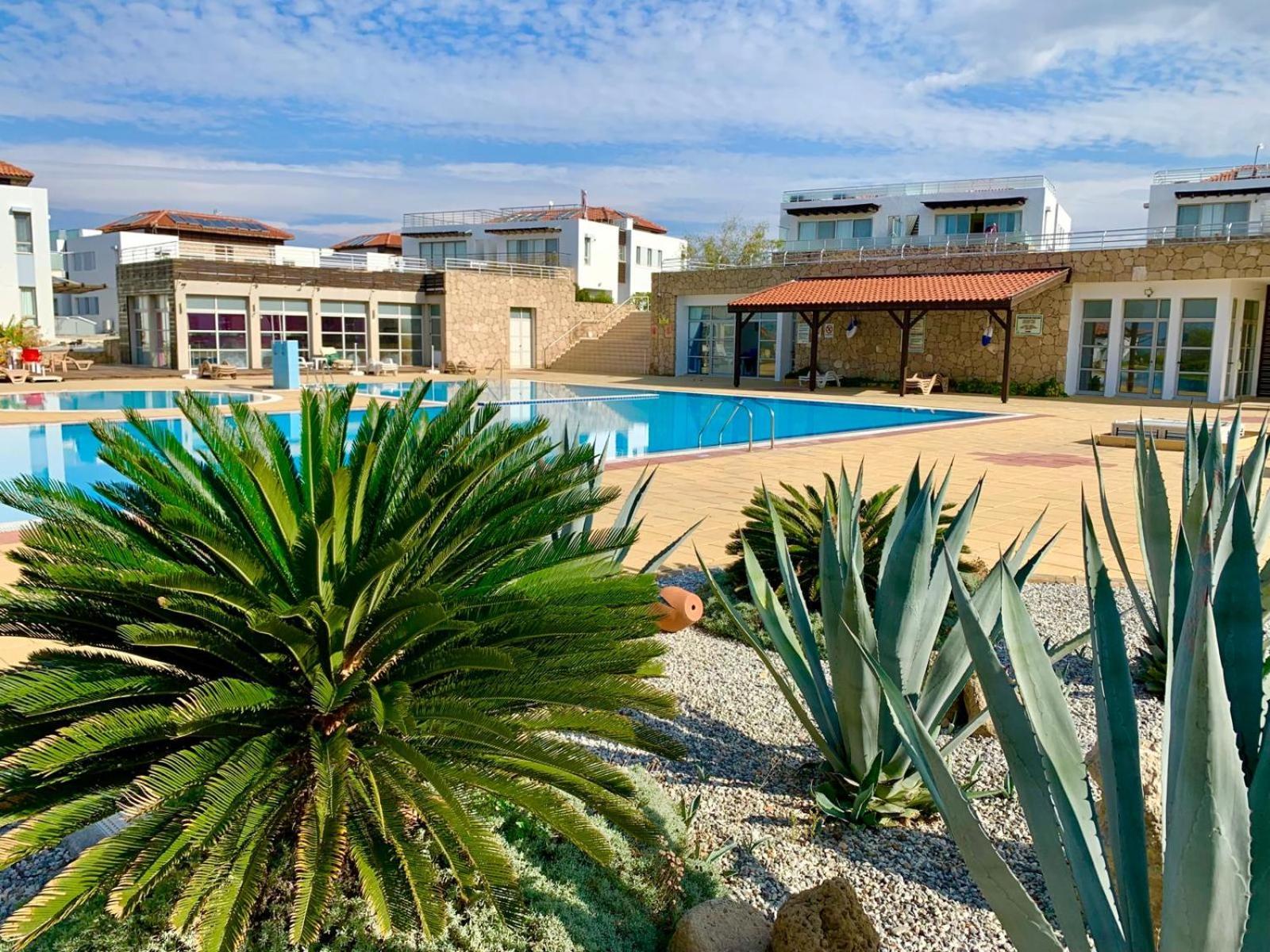 Boho Bay Apartment Akanthou Exteriér fotografie
