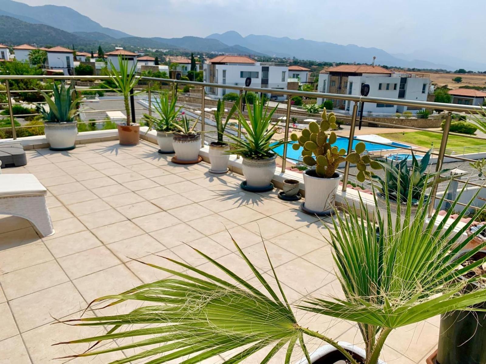 Boho Bay Apartment Akanthou Exteriér fotografie