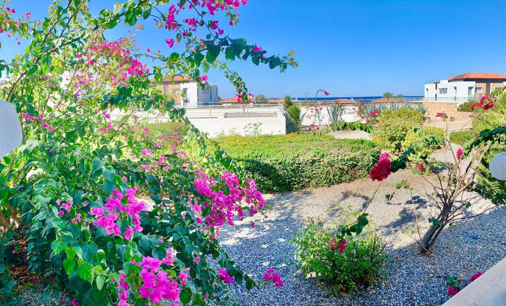 Boho Bay Apartment Akanthou Exteriér fotografie