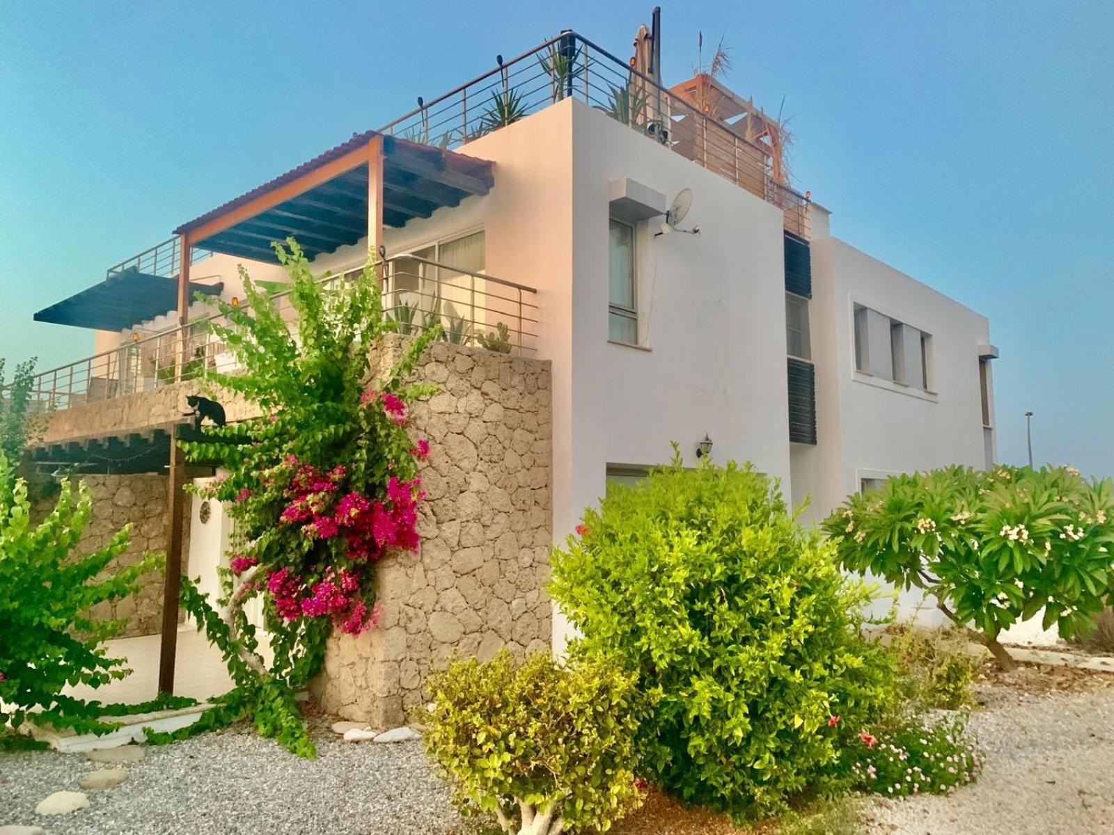 Boho Bay Apartment Akanthou Exteriér fotografie
